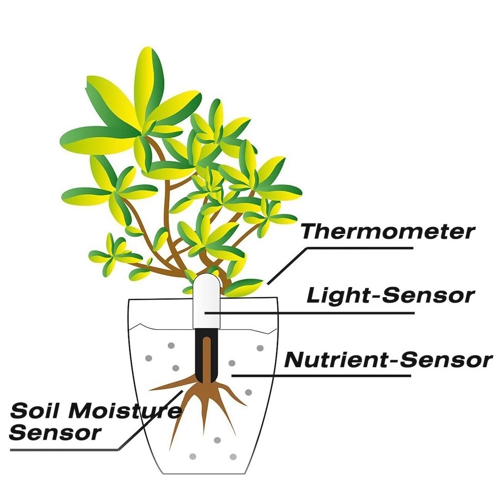 Smart Garden Xiaomi - Monitor Inteligente de Flores HHCC para