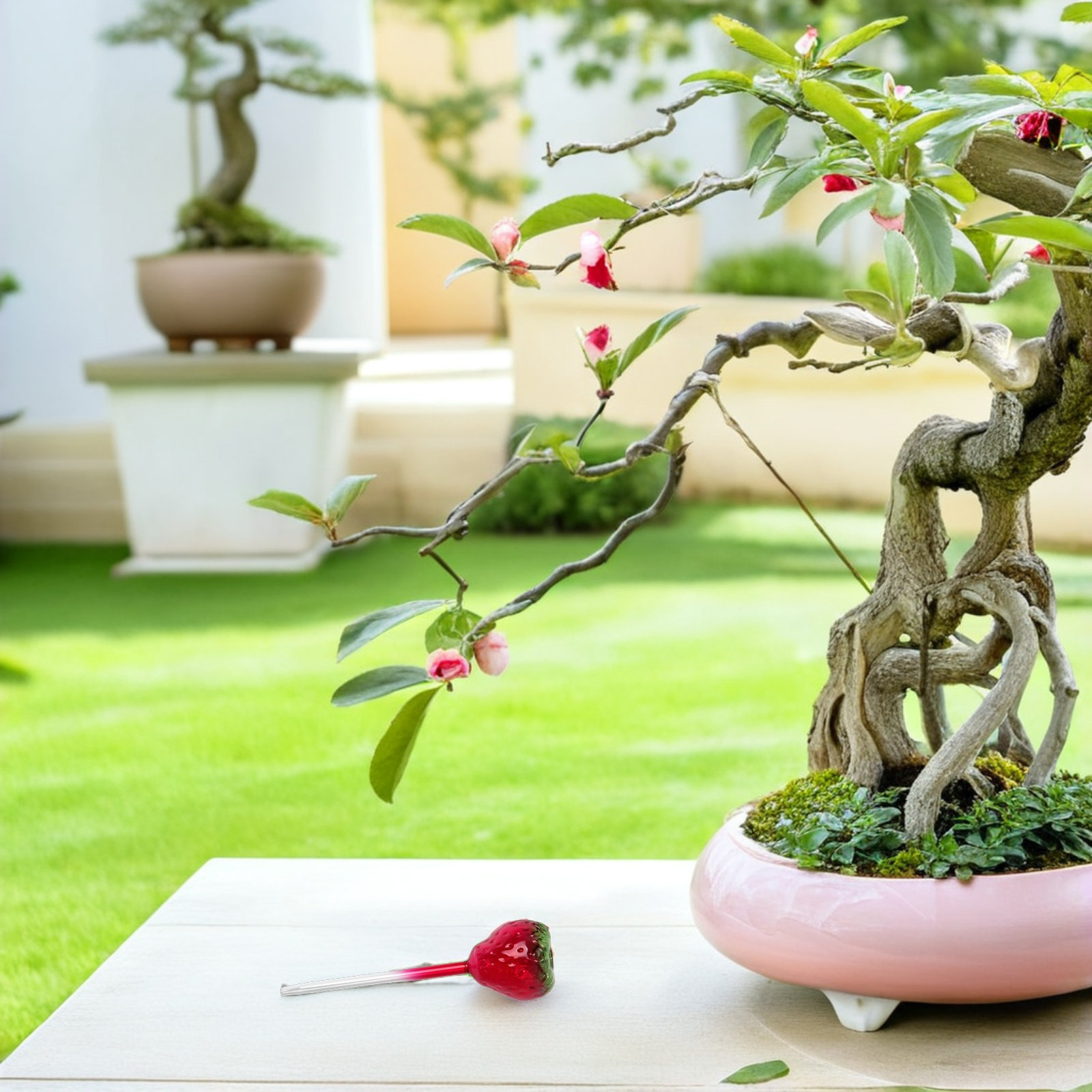 Plant Watering Globe - 2 Globos de Vidro para Rega