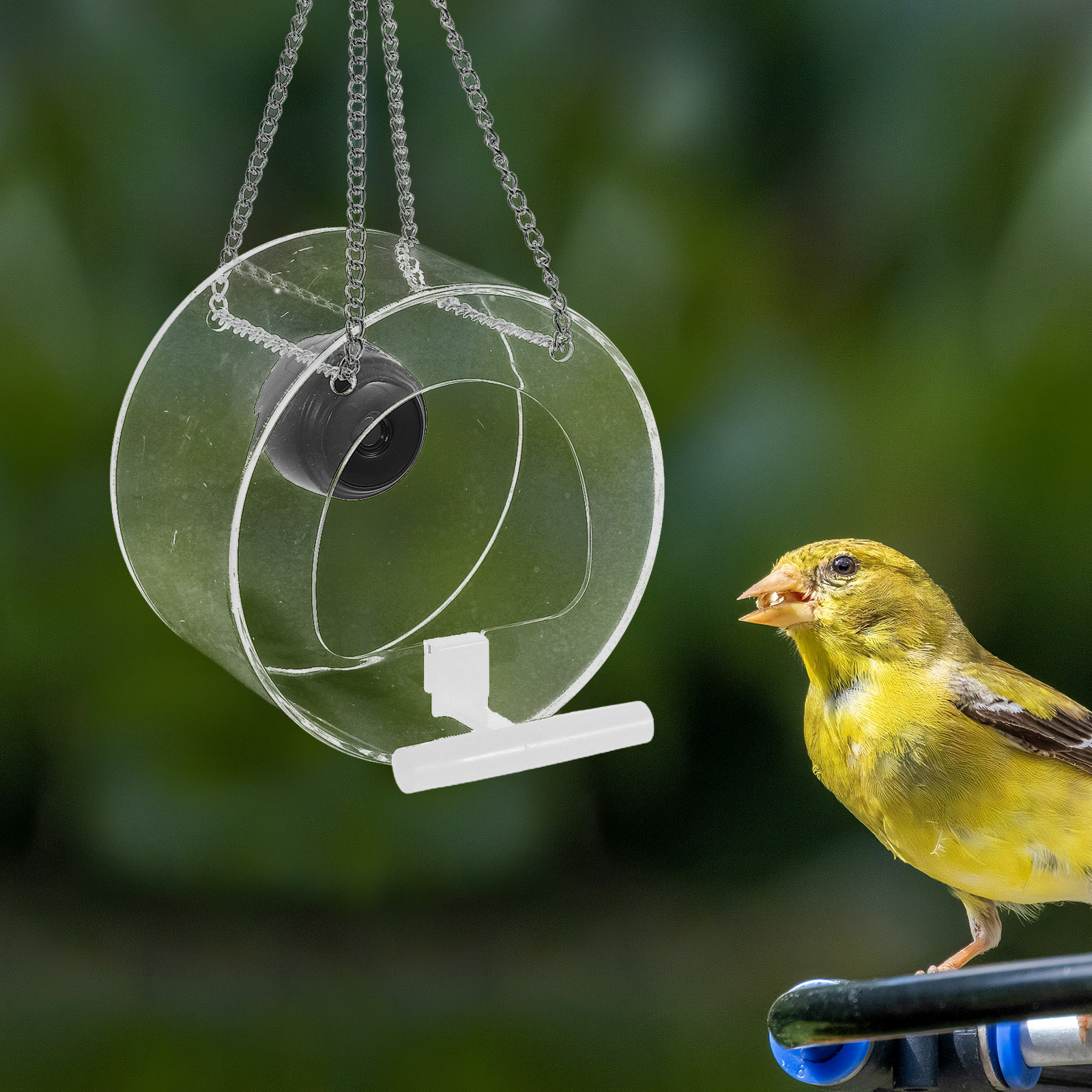 Smart Garden Video - Plataforma inteligente com câmera de vídeo