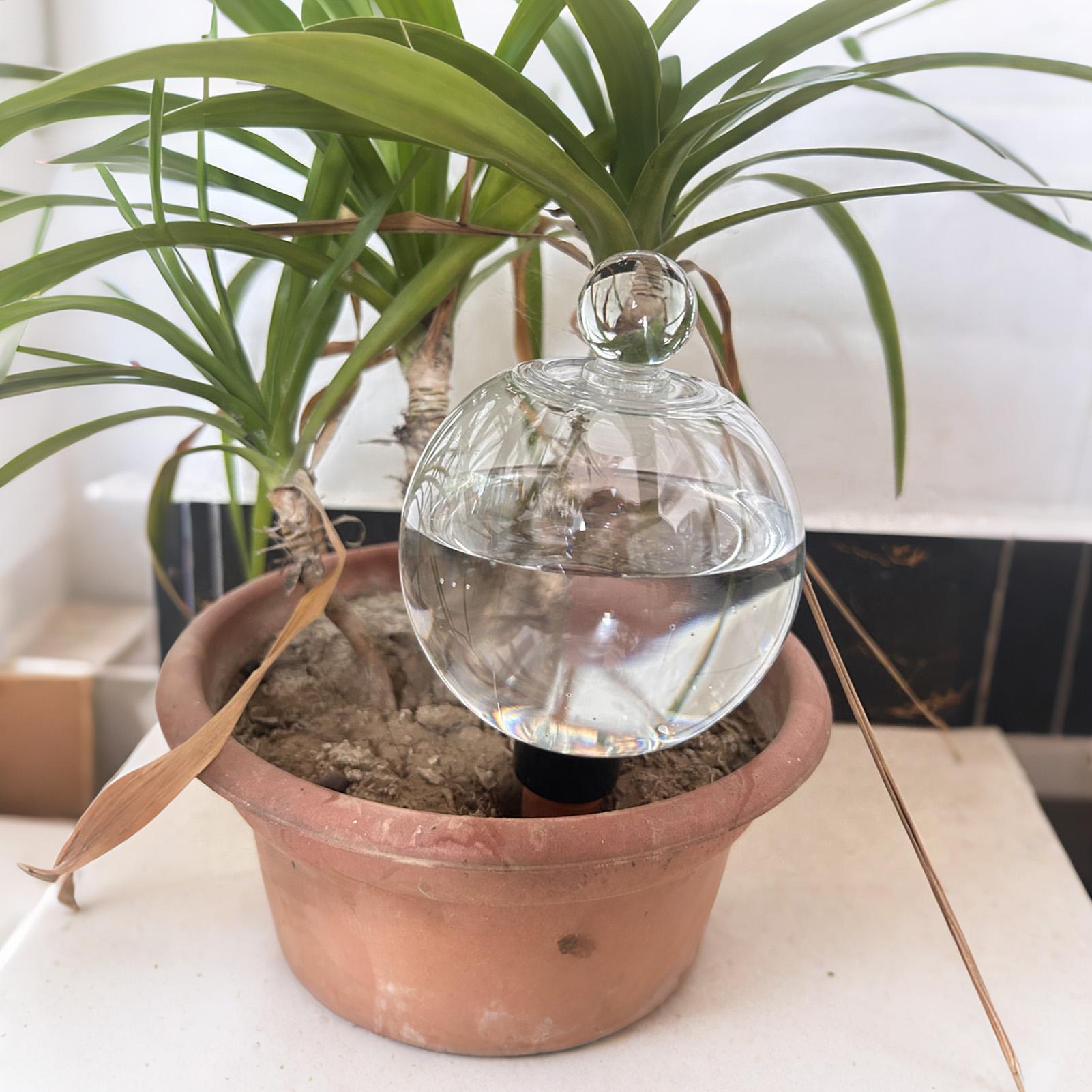 Bolas de Rega Automática para  - Plant Watering Globe avaliação e preço