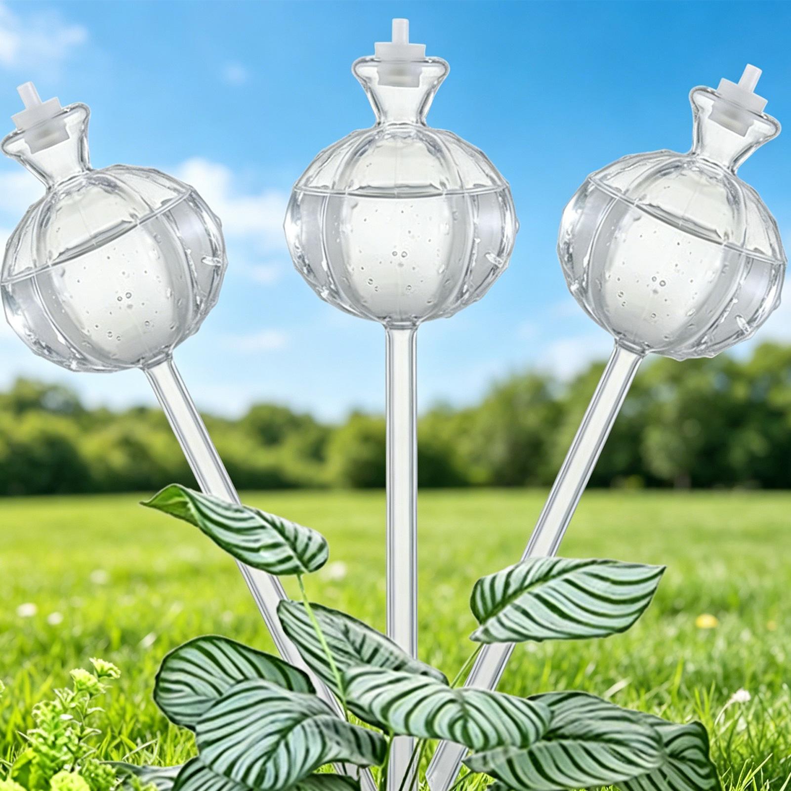Globos de Autoirrigação (3 Peç - Plant Watering Globe avaliação e preço