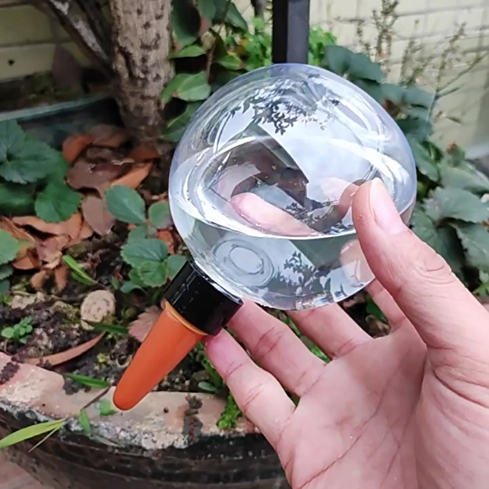 Globos de Irrigação Automática - Plant Watering Globe avaliação e preço
