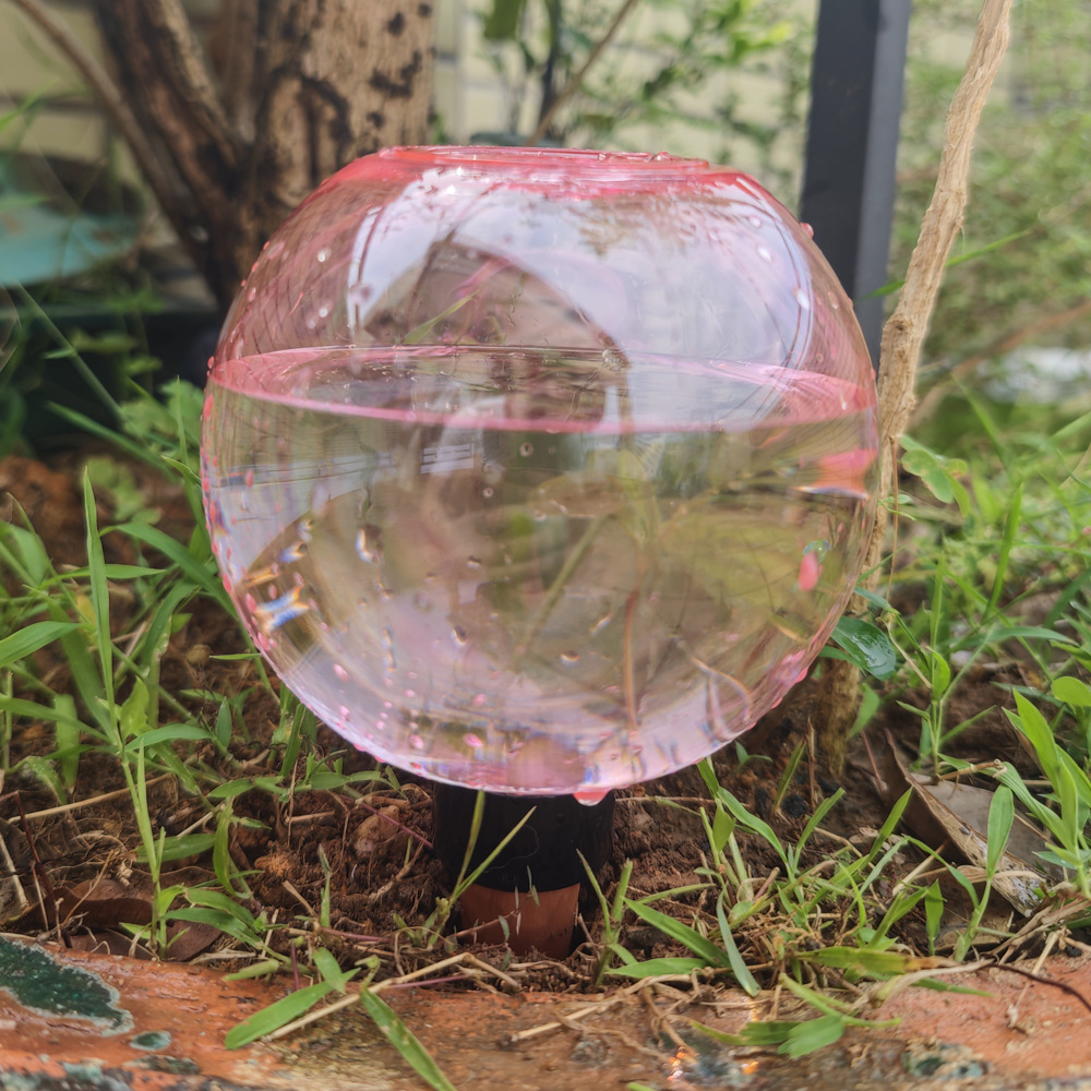 Bolas de Rega Automáticas 1/4p - Plant Watering Globe avaliação e preço