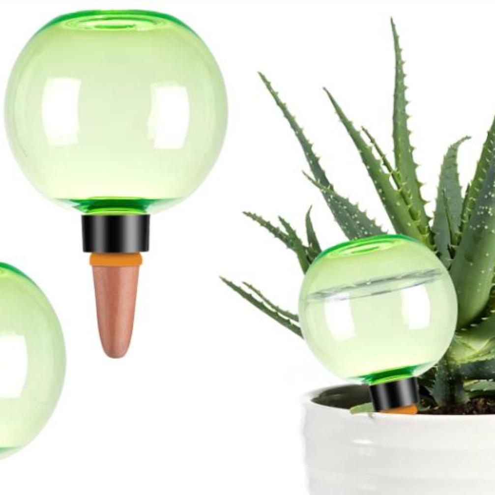 3 Globos Grandes de Autoirriga - Plant Watering Globe avaliação e preço