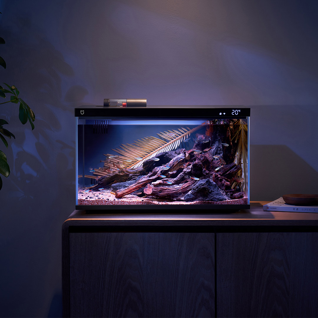 Xiaomi mijia inteligente tanqu - Smart Garden Xiaomi avaliação e preço