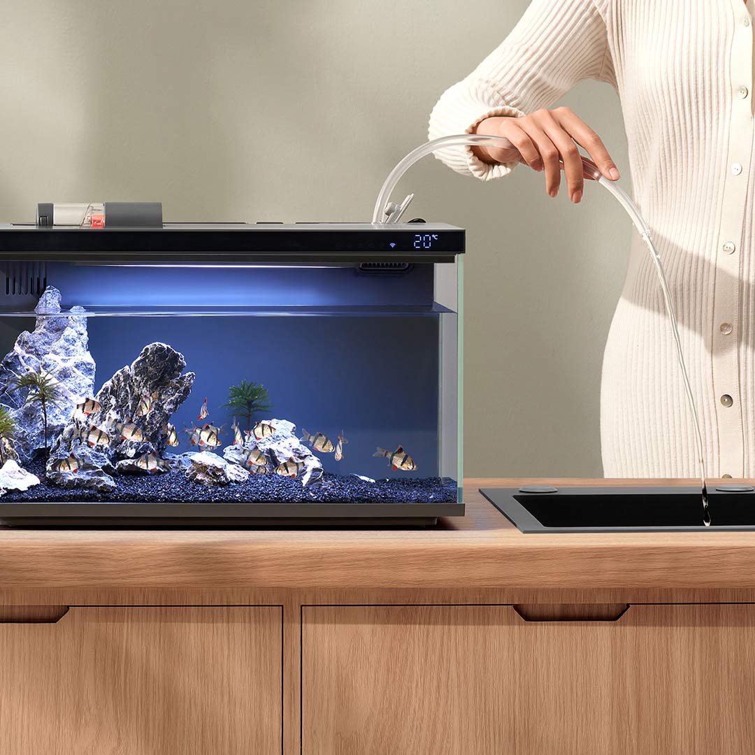 Xiaomi mijia inteligente tanqu - Smart Garden Xiaomi avaliação e preço
