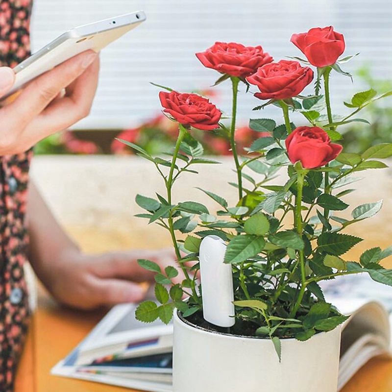 Hhcc flor cuidados inteligente - Smart Garden Xiaomi avaliação e preço